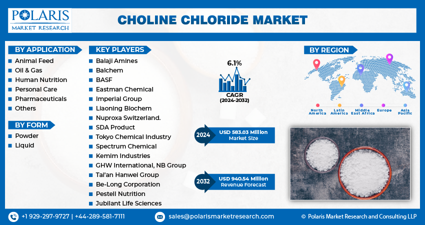 Choline Chloride Market Size